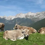 Apartma Nadiza * Borjana