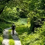 Apartma Nadiza Apartment Borjana