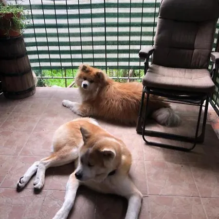 Apartma Nadiza Borjana107 *