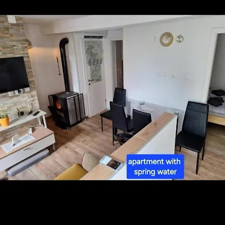 Apartment Apartma Nadiza Borjana107 *