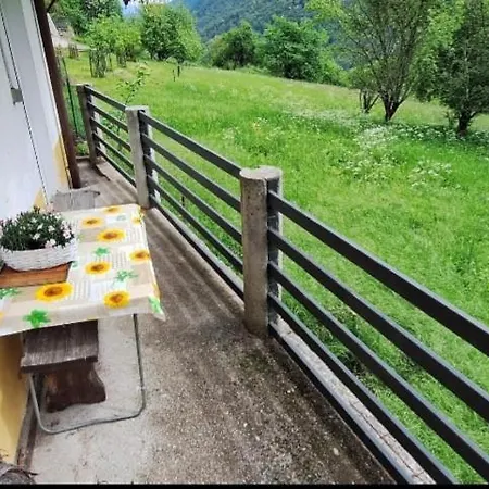 Apartma Nadiza Borjana107 *