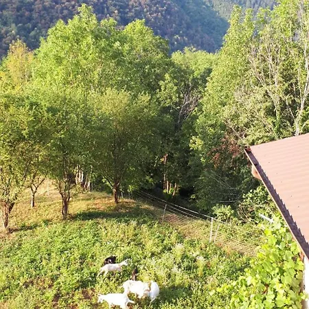 Apartma Nadiza Borjana
