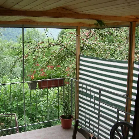 Apartma Nadiza * Borjana