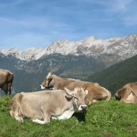 Apartma Nadiza Borjana107 * Borjana