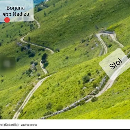 Apartma Nadiza * Borjana