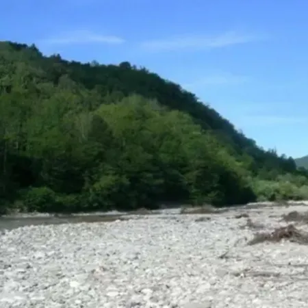 Appartamento Apartma Nadiza Borjana107