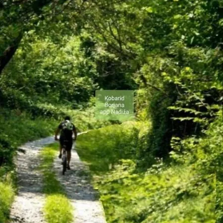 Apartma Nadiza Apartmán Borjana