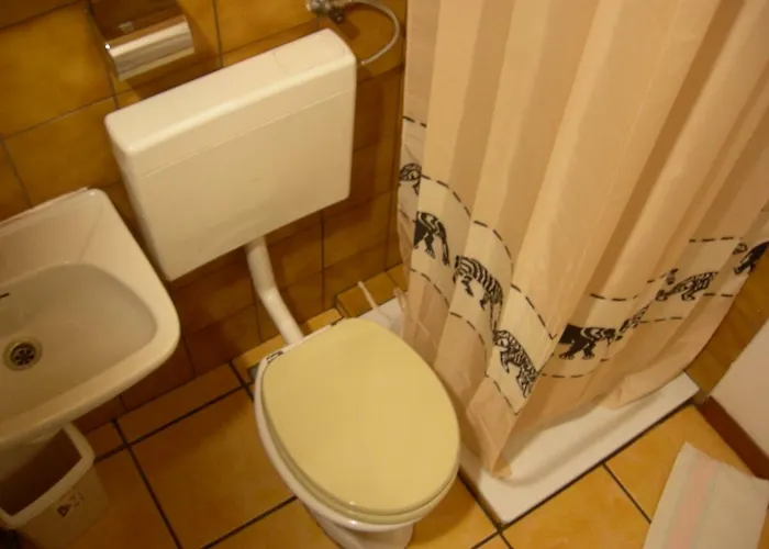 Διαμέρισμα Apartma Nadiza Borjana