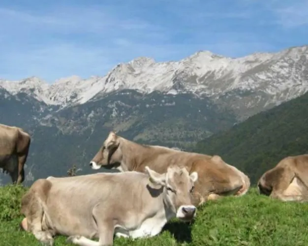 Apartma Nadiza * Borjana