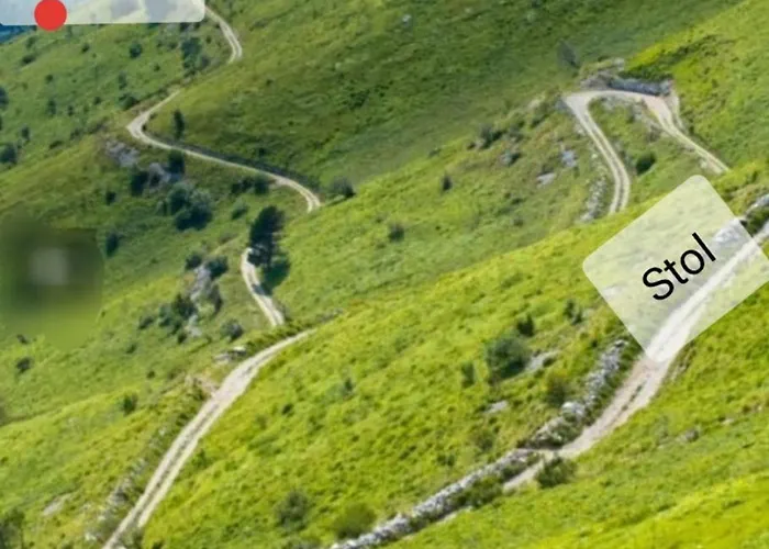 Apartma Nadiza * Borjana