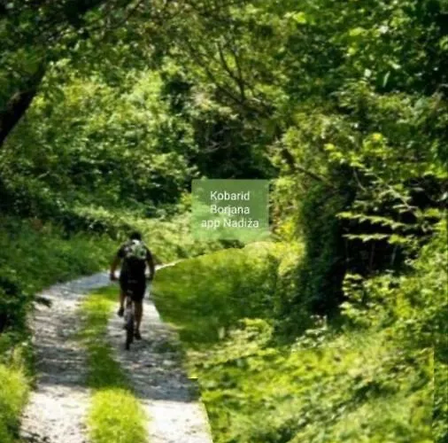 Apartma Nadiza Διαμέρισμα Borjana